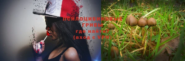 ALPHA PVP Снежинск