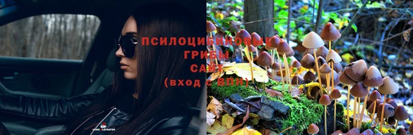 ALPHA PVP Снежинск