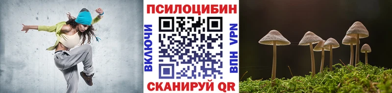 Купить где  Новосокольники  Галлюциногенные грибы Psilocybe 