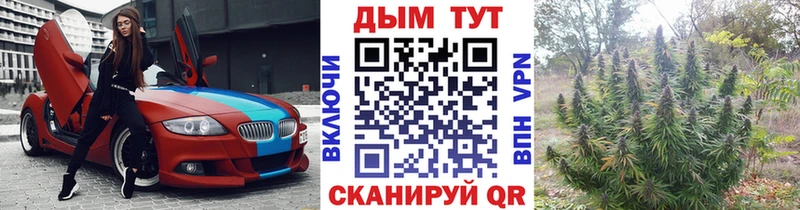 Шишки марихуана сатива  Купить  Новосокольники 